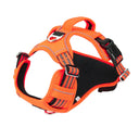  Orange / L