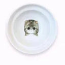  Mickey single bowl rack / Flat face cat