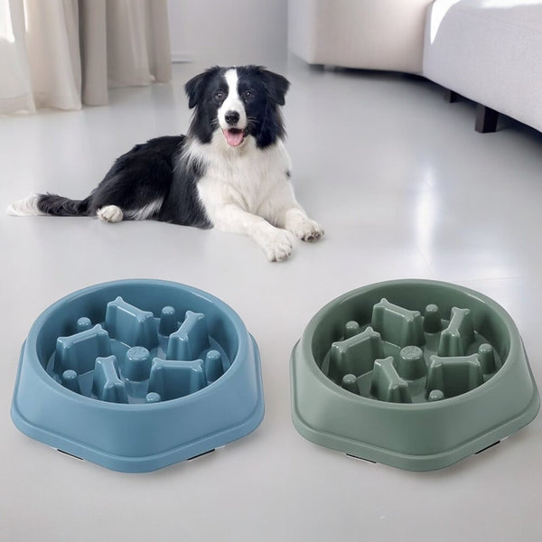 Slow Go Feeder Bowl - Blue