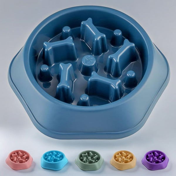 Slow Go Feeder Bowl - Blue