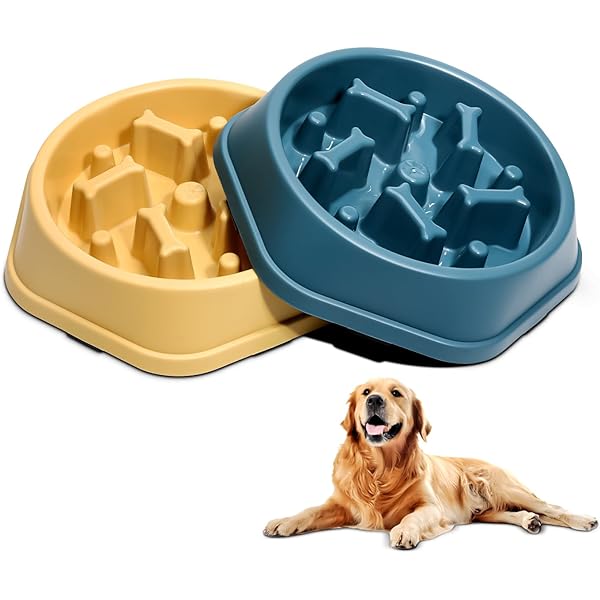 Slow Go Feeder Bowl - Blue