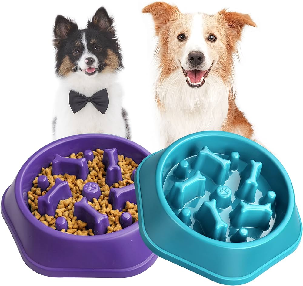 Slow Go Feeder Bowl - Blue