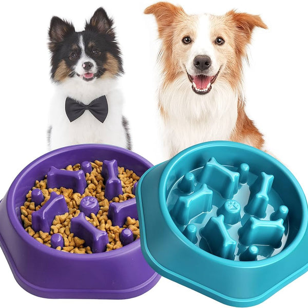 Slow Go Feeder Bowl - Blue