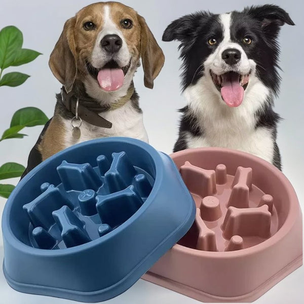 Slow Go Feeder Bowl - Blue